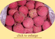 Lychees